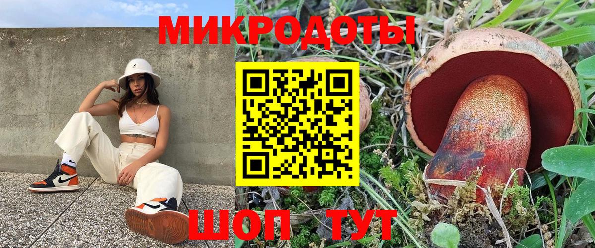 Трёхгорный  Псилоцибиновые грибы мицелий  Вход с VPN  Псилоцибиновые грибы Psilocybine cubensis 