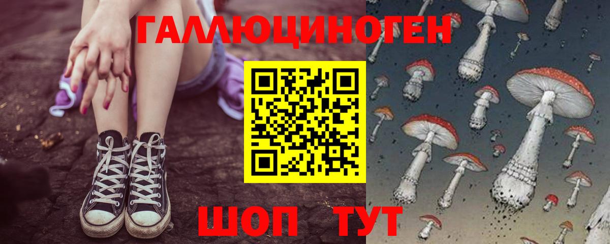 Псилоцибиновые грибы Psilocybe Трёхгорный